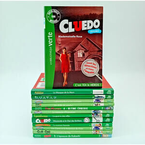 Lot 13 Livres La Bibliothèque Verte – Livres Jeunesse Children French Book‎ lot